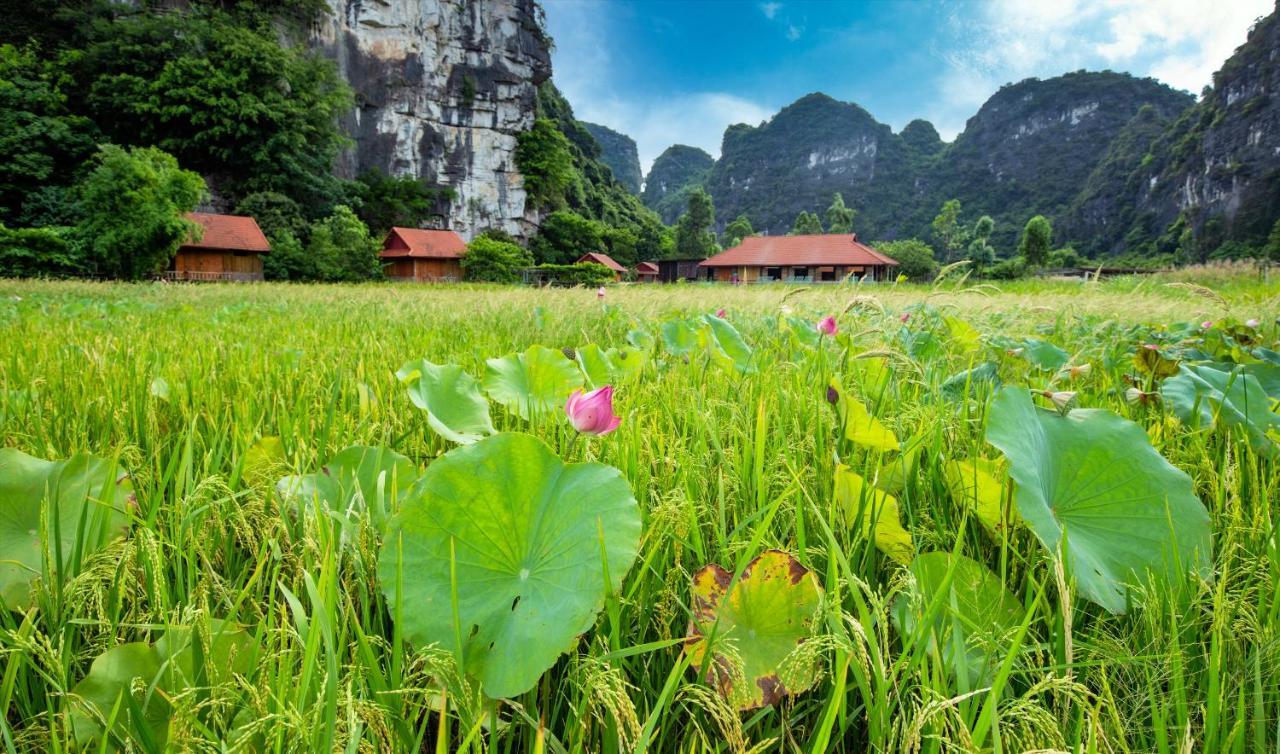 Trang An Tam Gia Trang Resort Ninh Binh Exterior photo